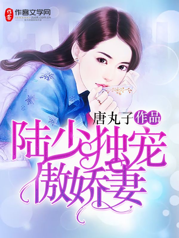 陆少独宠傲娇妻