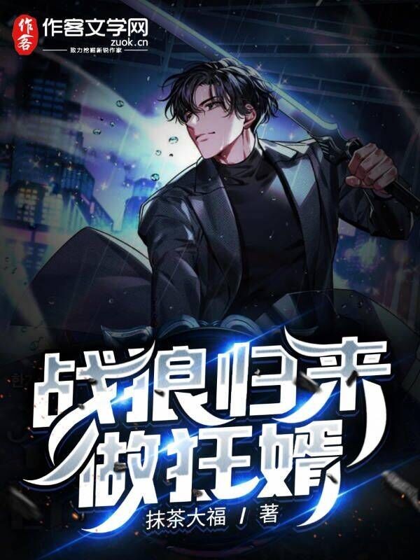 战狼归来做狂婿