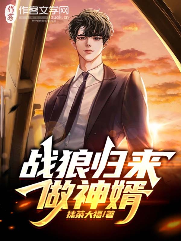 战狼归来做神婿