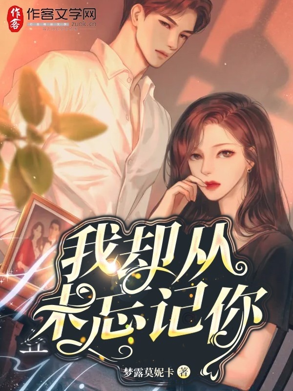 我却从未忘记你