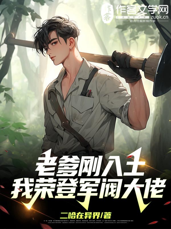 老爹刚入土，我荣登军阀大佬